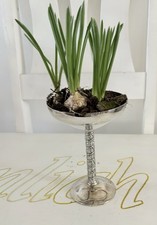 Sekt Kelch Jardiniere