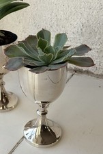 Rotwein Kelch Jardiniere